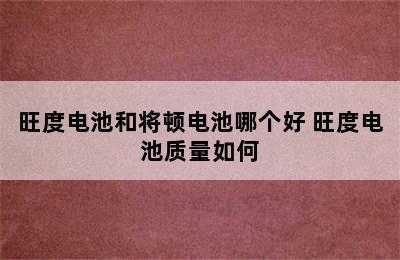 旺度电池和将顿电池哪个好 旺度电池质量如何